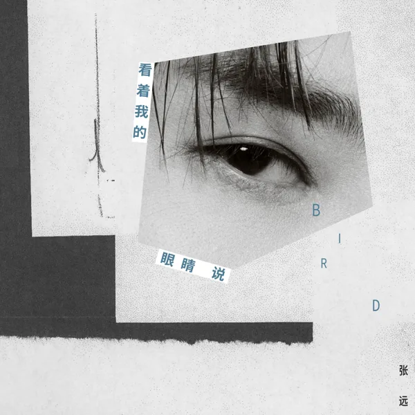 Cover art for 看着我的眼睛说 — Zhang Yuan
